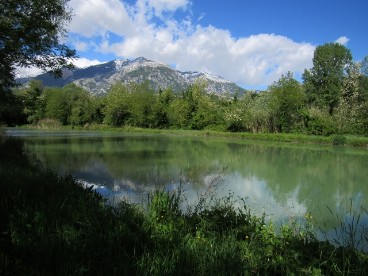 Natural Swimming Pool
