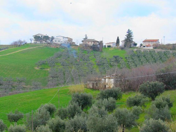 Building plot with ruin. 2 hectares. 