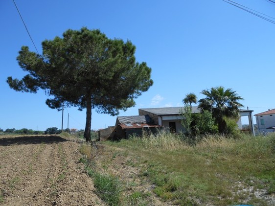 two bed habitable farm house with 8000sqm of land, 5km to beach 1
