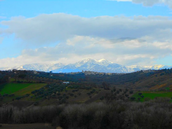 6 hectares of flat land , part with vines, part with olives and the rest crop land 