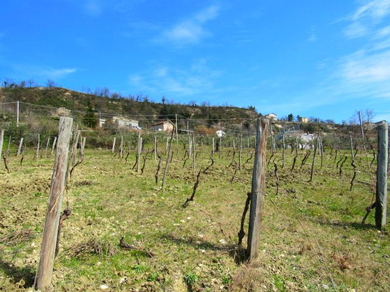 Building plot for Villa of 150sqm, the plot is 5000sqm of mainly olive grove, on a gentle slope. The land offers fantastic mountain views. 1