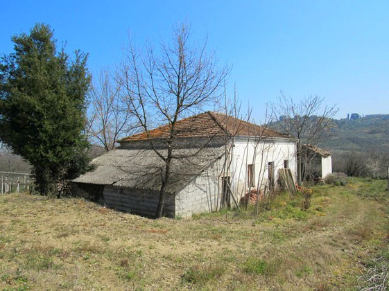 Detached farm house, surrounded by vines, in a peaceful and picturesque location, 5km to the beach. 1