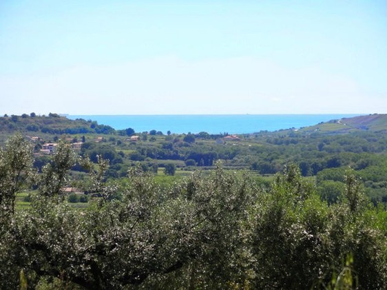 Building land of 5500sqm with sea view and olive grove, 5km to beach1