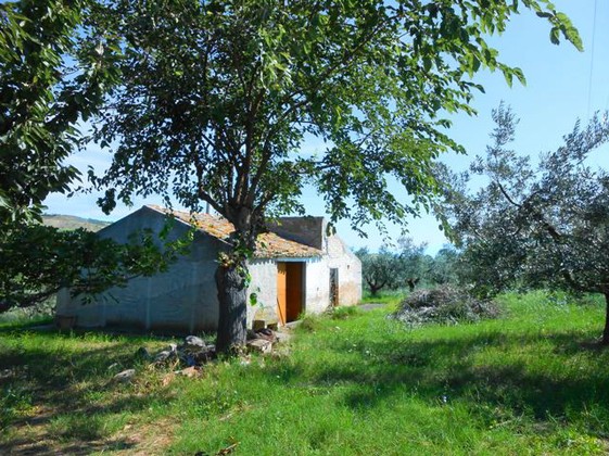 40sqm barn and 10,000sqm land for a 100sqm villa21