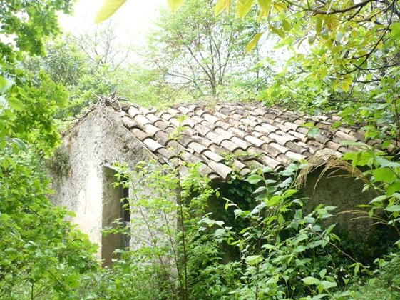 Land with ruin in forest 500 meters from town. 